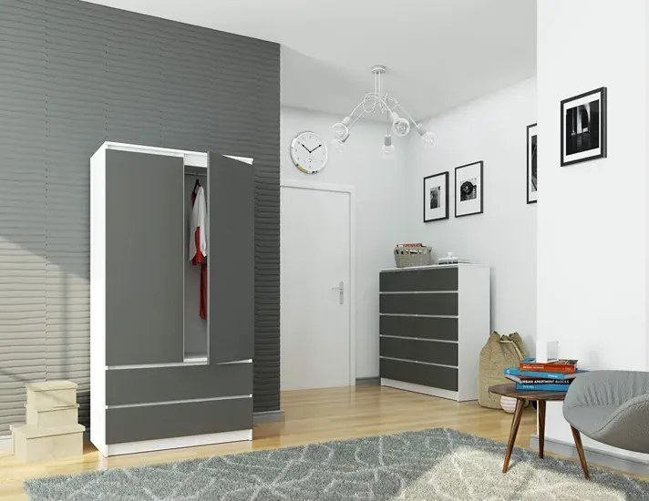 Gładka szafa z 2 szufladami biały + szary W5-C92