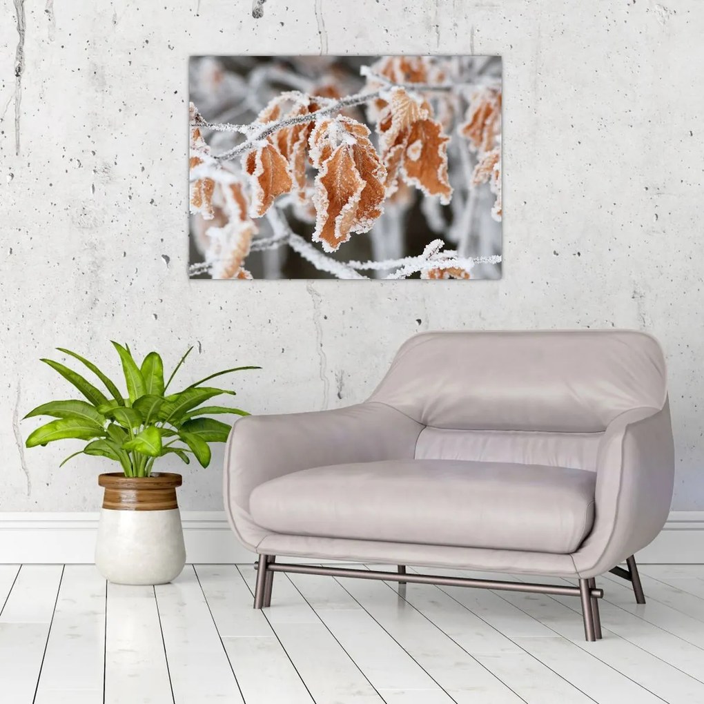 Obraz - Zamarznięte liście (70x50 cm)