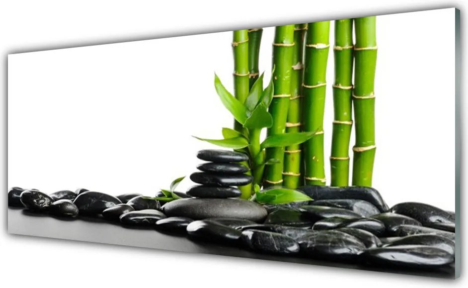 Szkło do Kuchni na Ścianę Artystyczne Pędy Bambusa