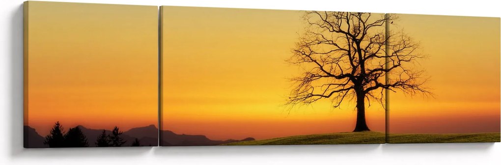Obraz drzewa na polu (170x50 cm)