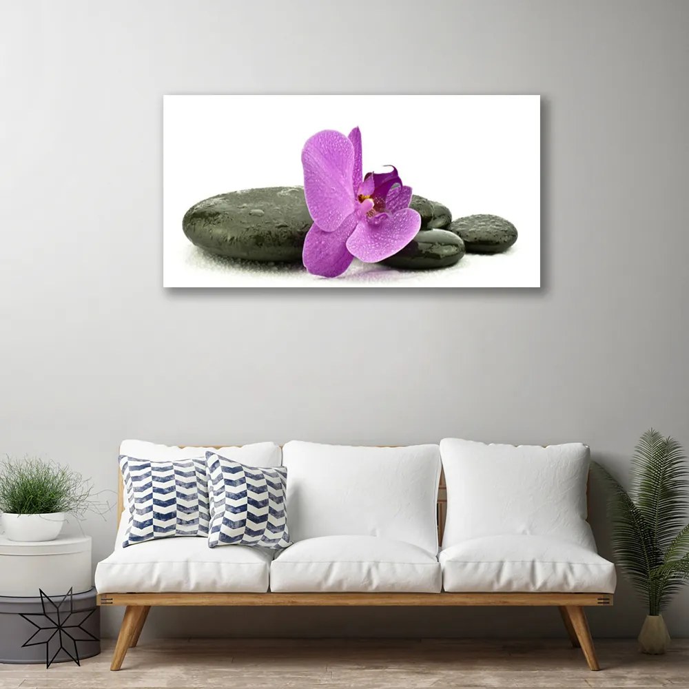 Obraz canvas Królewska Orchidea w Detalu