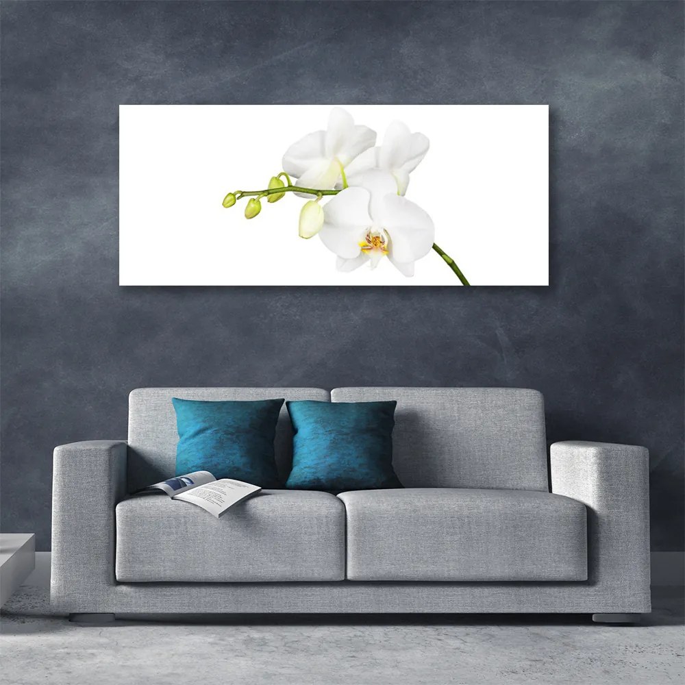 Obraz canvas Egzotyczna Elegancja Orchidei