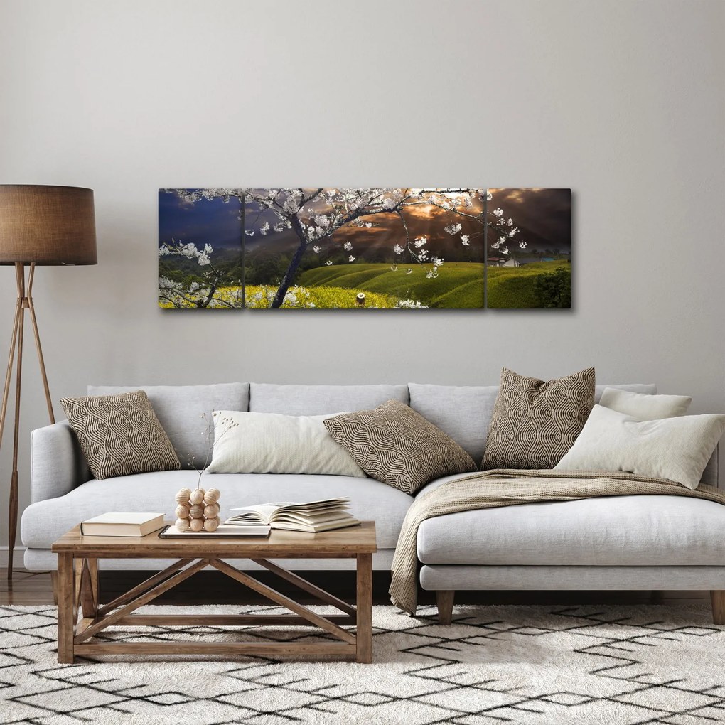 Obraz - Kwitnące drzewo w krajobrazie (170x50 cm)