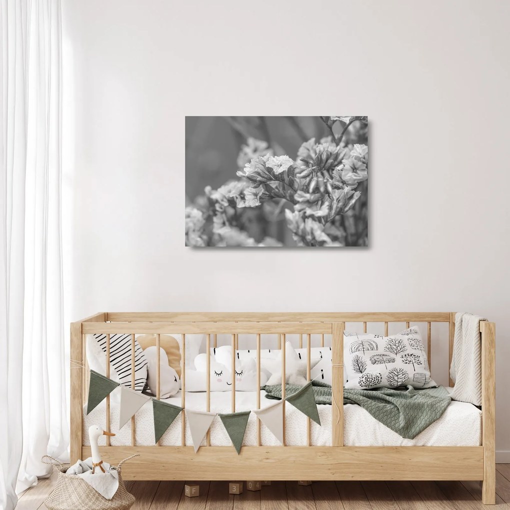Obraz na szkle - Suszone kwiaty (70x50 cm)