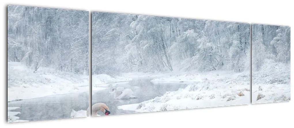 Obraz łabędzi (170x50 cm)