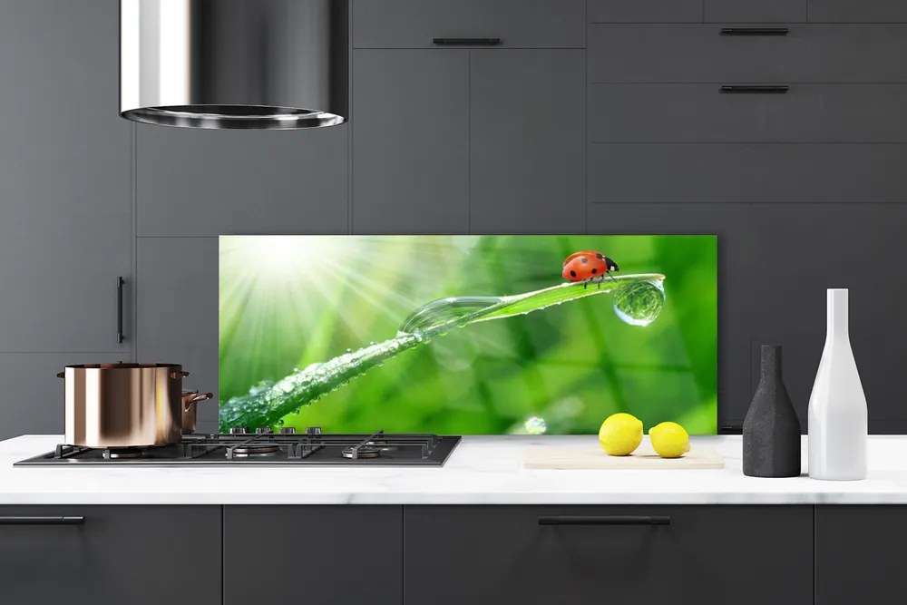 Panel Szklany do Kuchni Mała Biedronka Na Źdźble