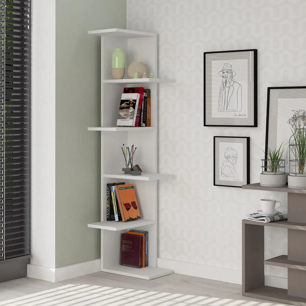 Biblioteczka Saso White