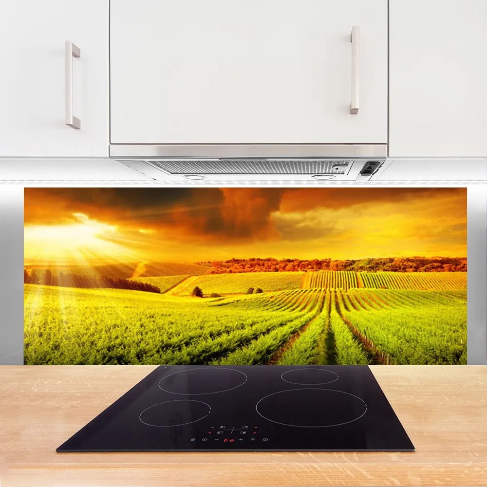 Panel Kuchenny Złota Godzina Nad Polem