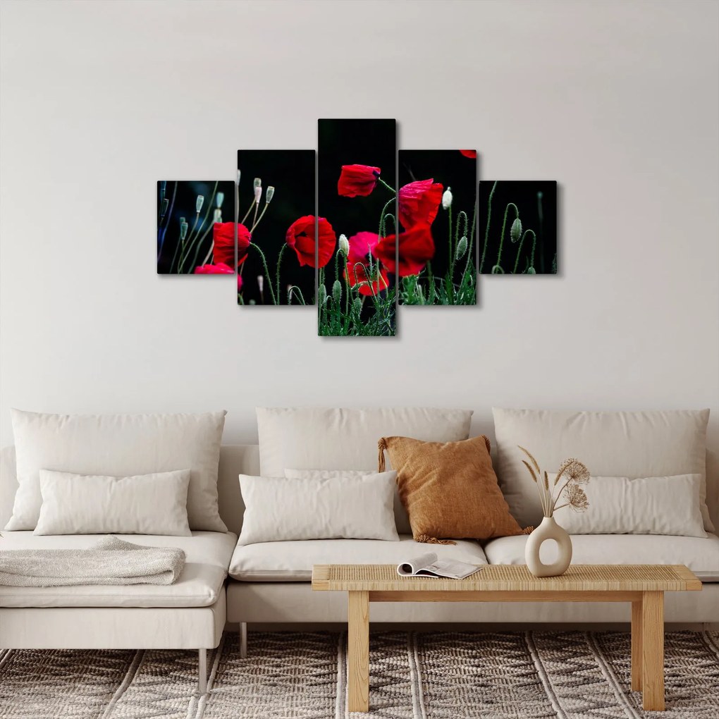 Obraz - Taniec maków (125x70 cm)