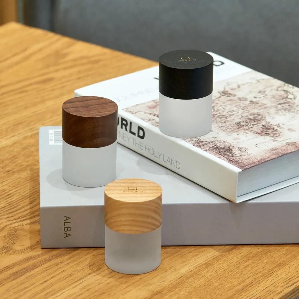 Dekoracja świetlna na USB w naturalnym kolorze ø 4,5 cm Lemelia – Gingko