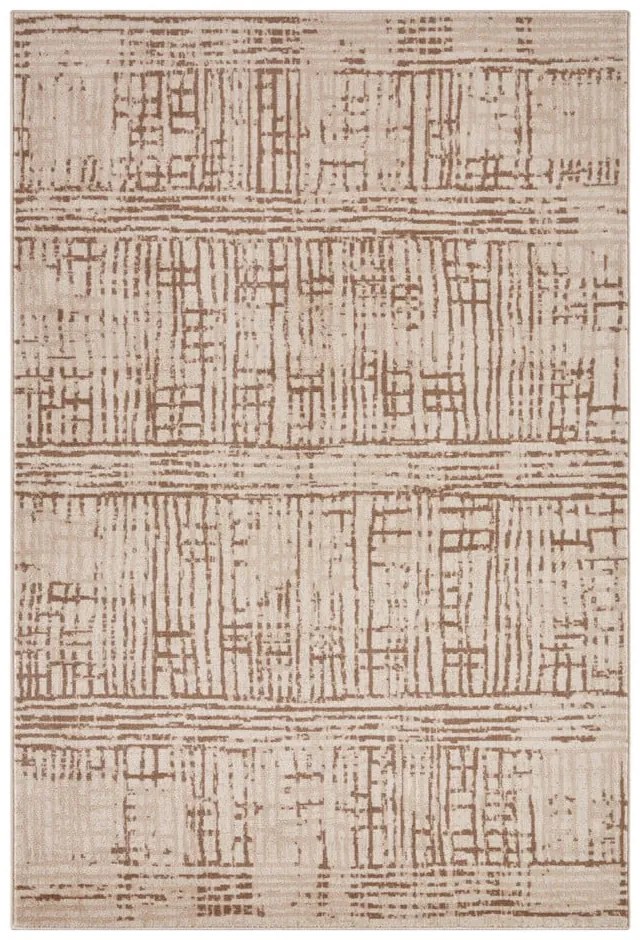 Brązowy/beżowy dywan 120x170 cm Terrain – Hanse Home