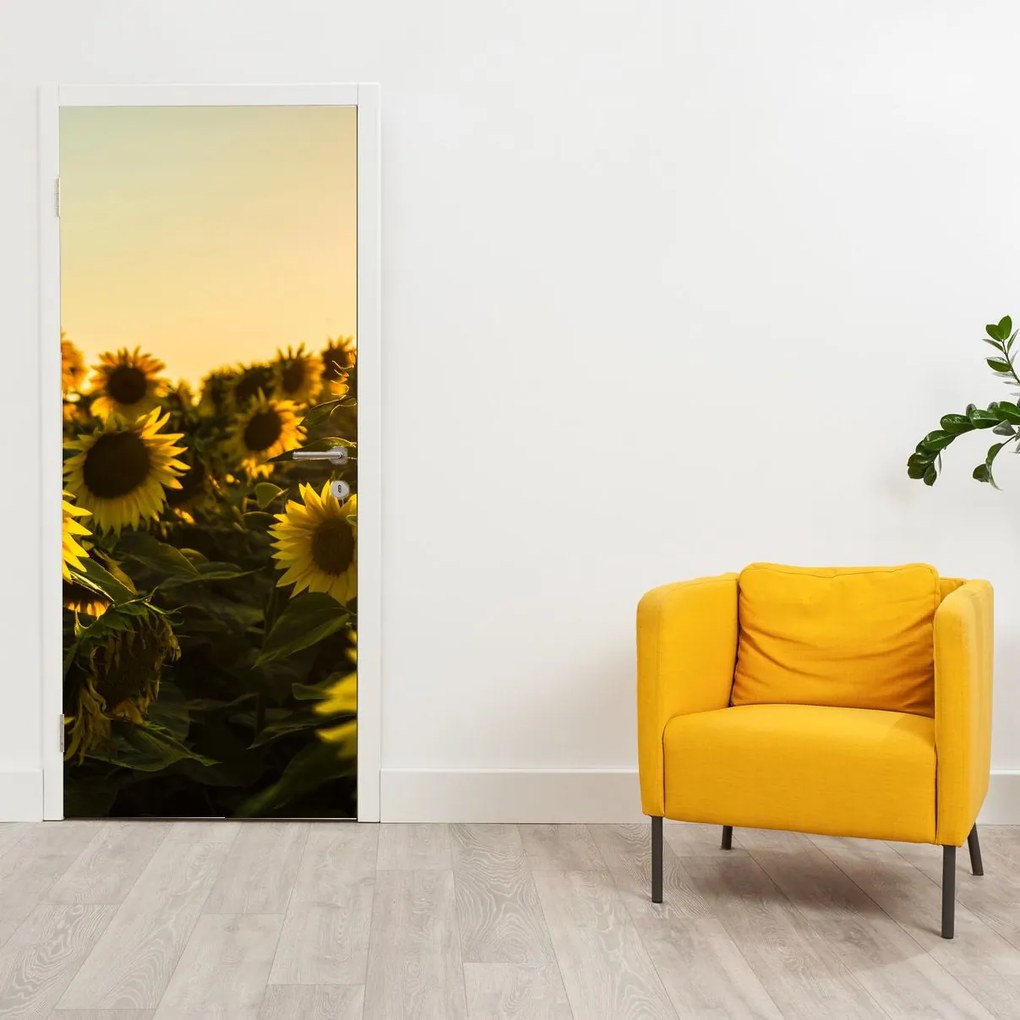 Fototapeta na drzwi - Pole słoneczników (95x205cm)