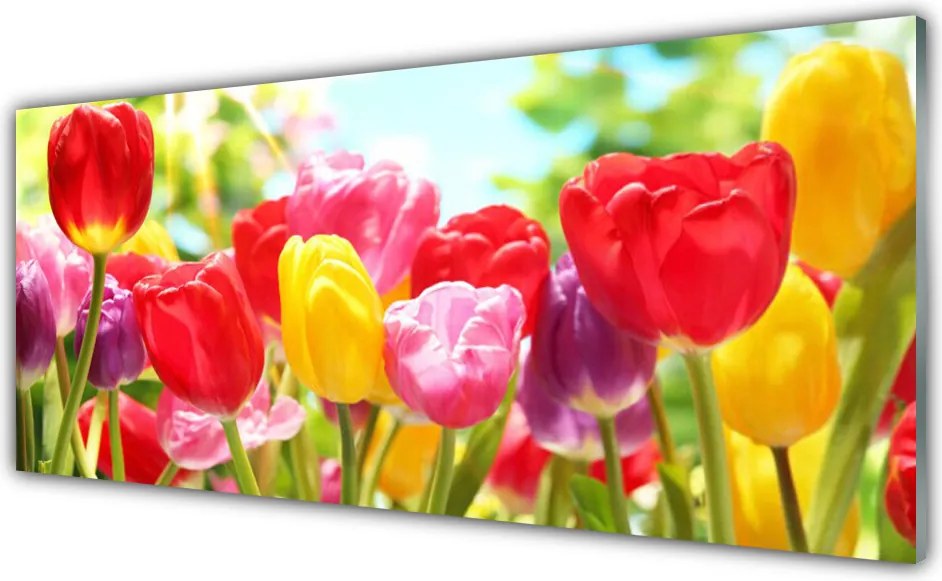 Panel Szklany Klasyczne Czerwone Tulipany