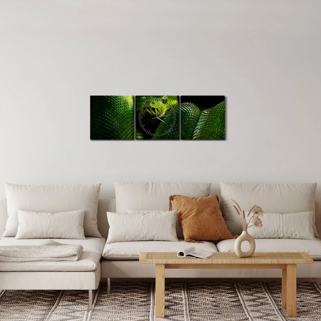 Obraz - Zielony wąż (z zegarem) (90x30 cm)