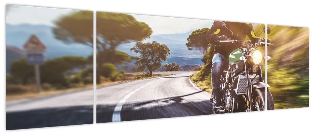 Obraz - Motocyklista (170x50 cm)