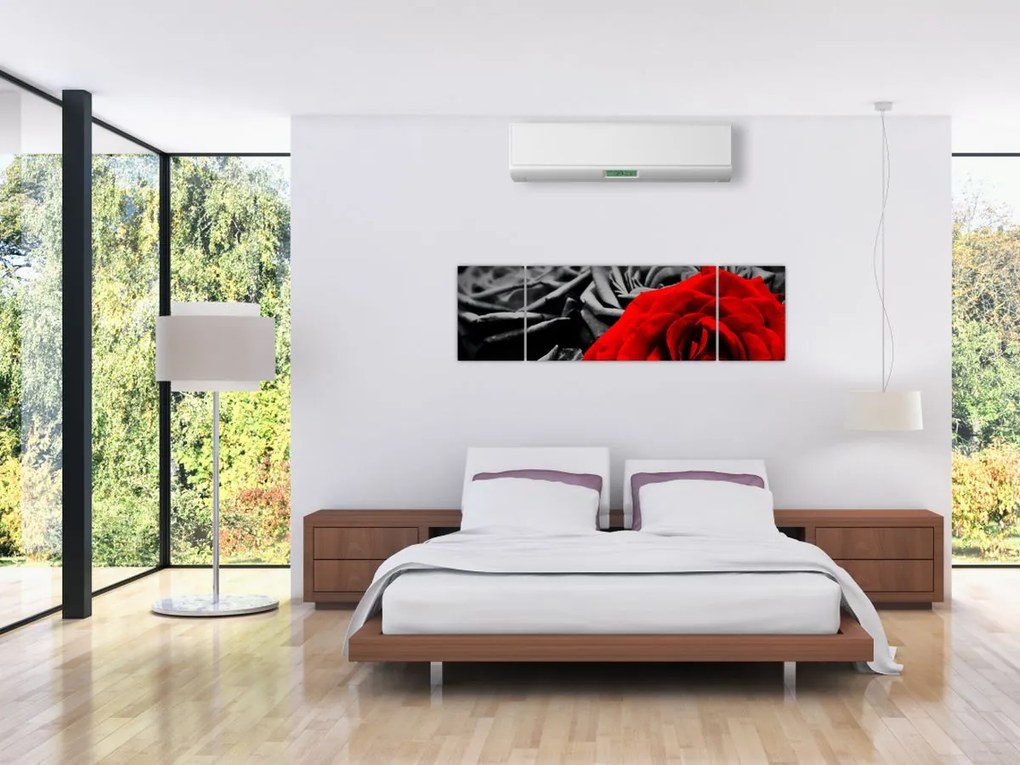 Obraz - Róże (170x50 cm)