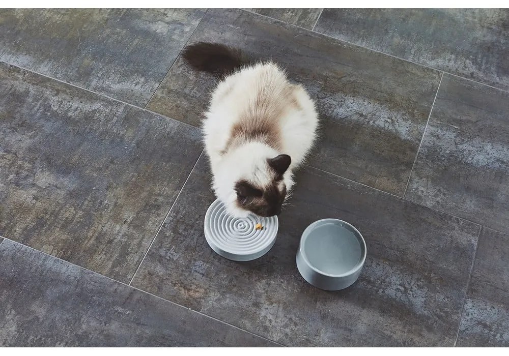 Porcelanowa miska dla kotów ø 14 cm Fresco Concrete S – MiaCara