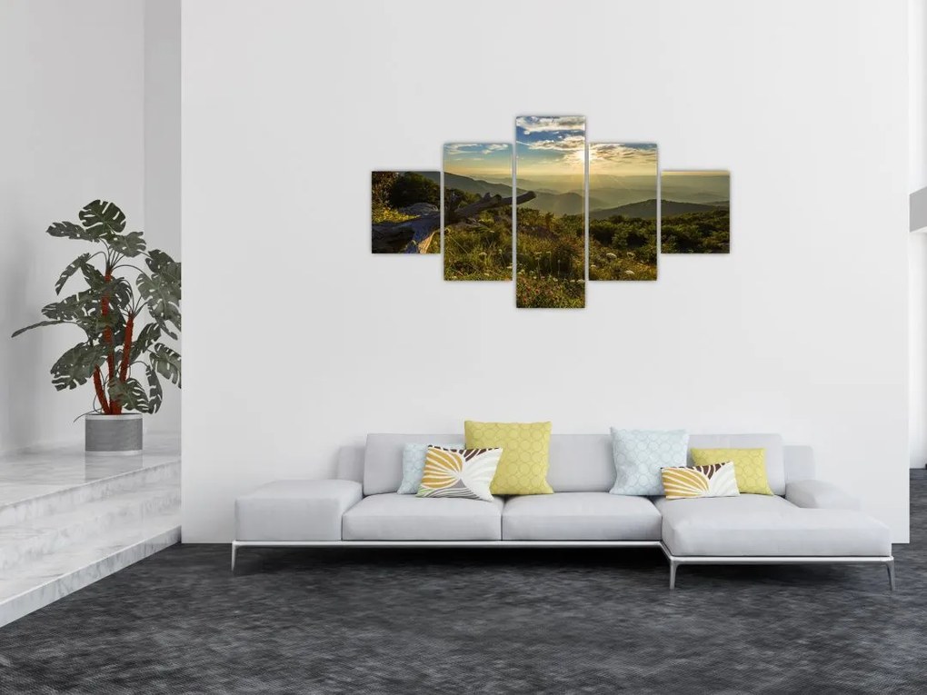 Obraz - Widok na otoczenie (125x70 cm)