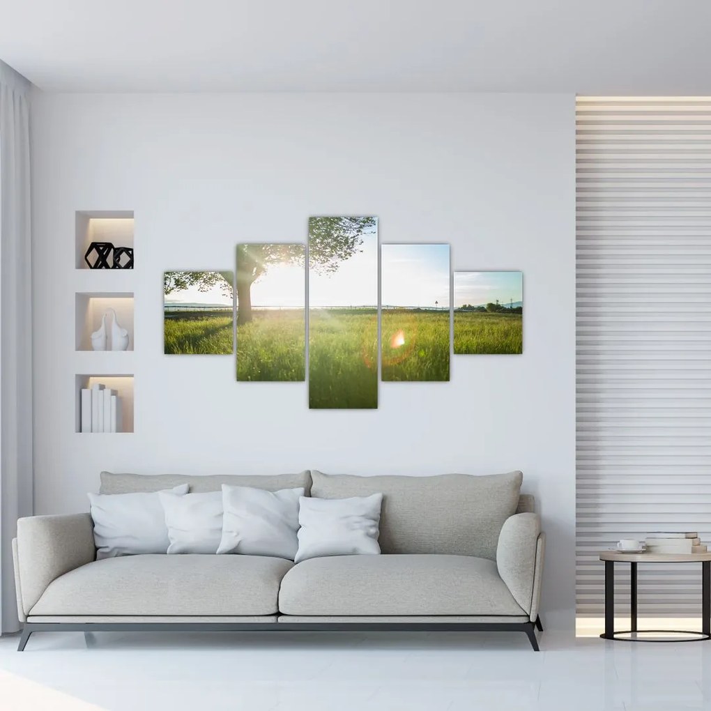 Obraz letniej łąki (125x70 cm)