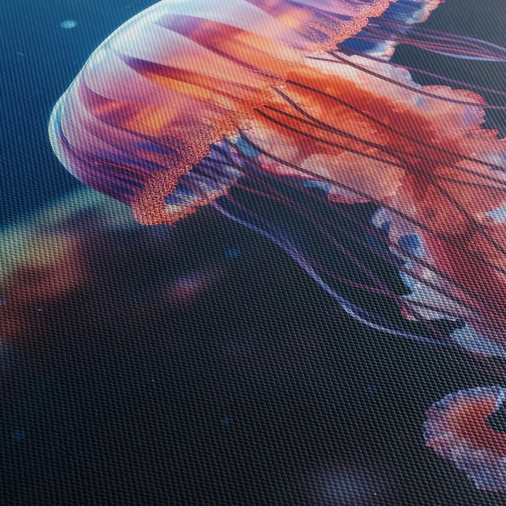 Obraz - Meduza (170x50 cm)