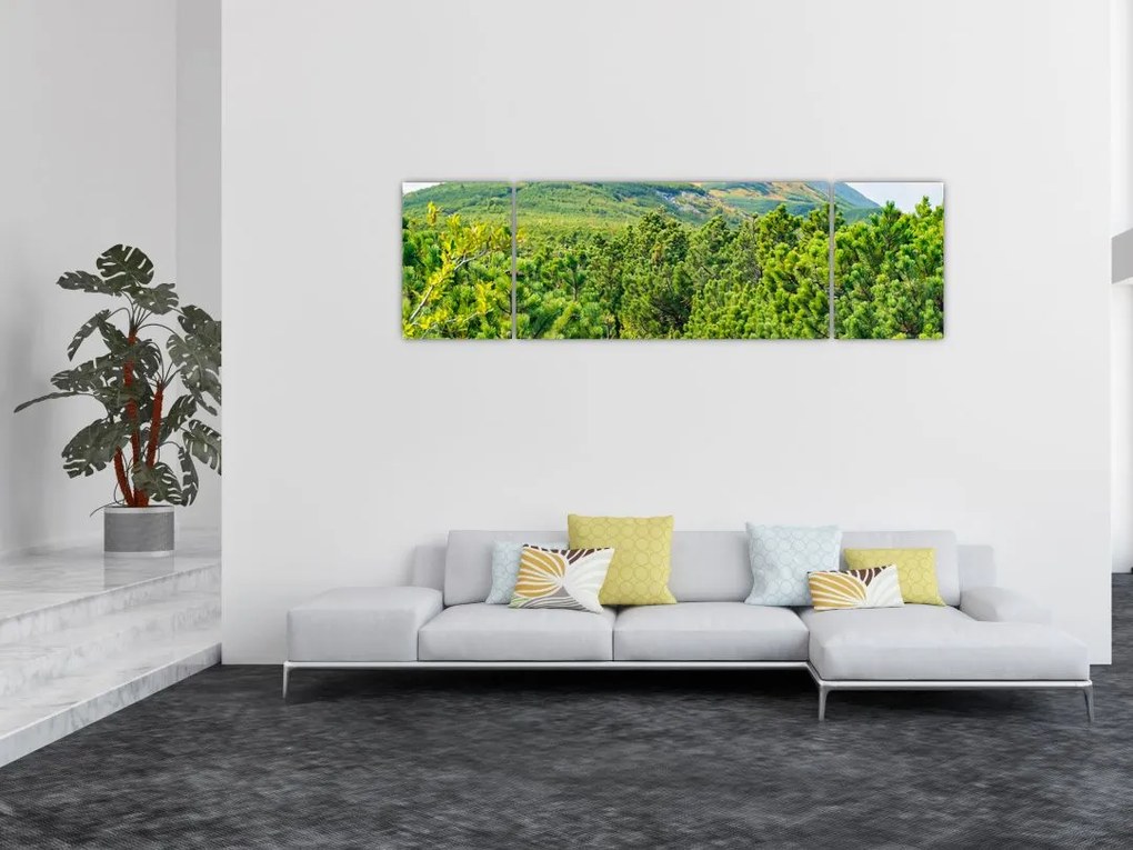 Obraz - Babia Góra, Polska (170x50 cm)
