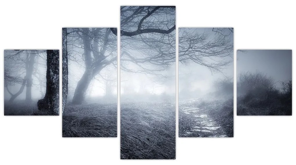 Obraz- Droga we mgle (125x70 cm)