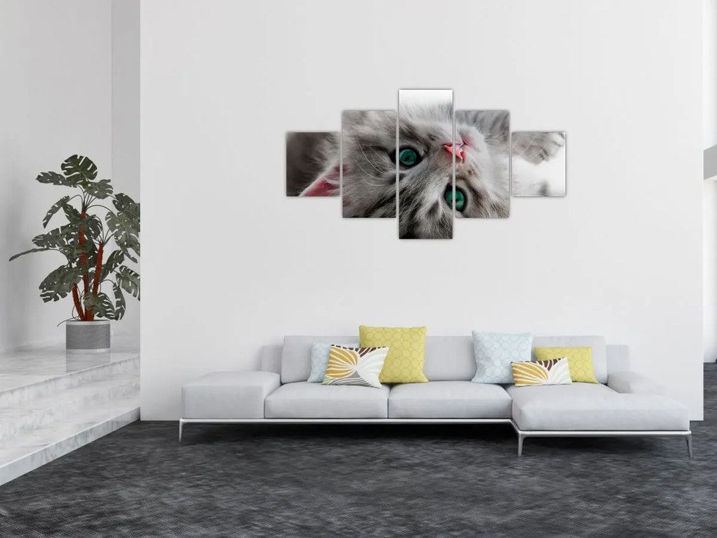 Obraz - Kot z zielonymi oczami (125x70 cm)