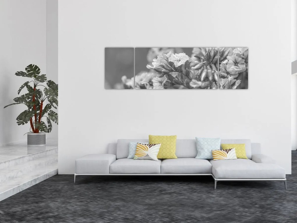 Obraz - Suszone kwiaty (170x50 cm)