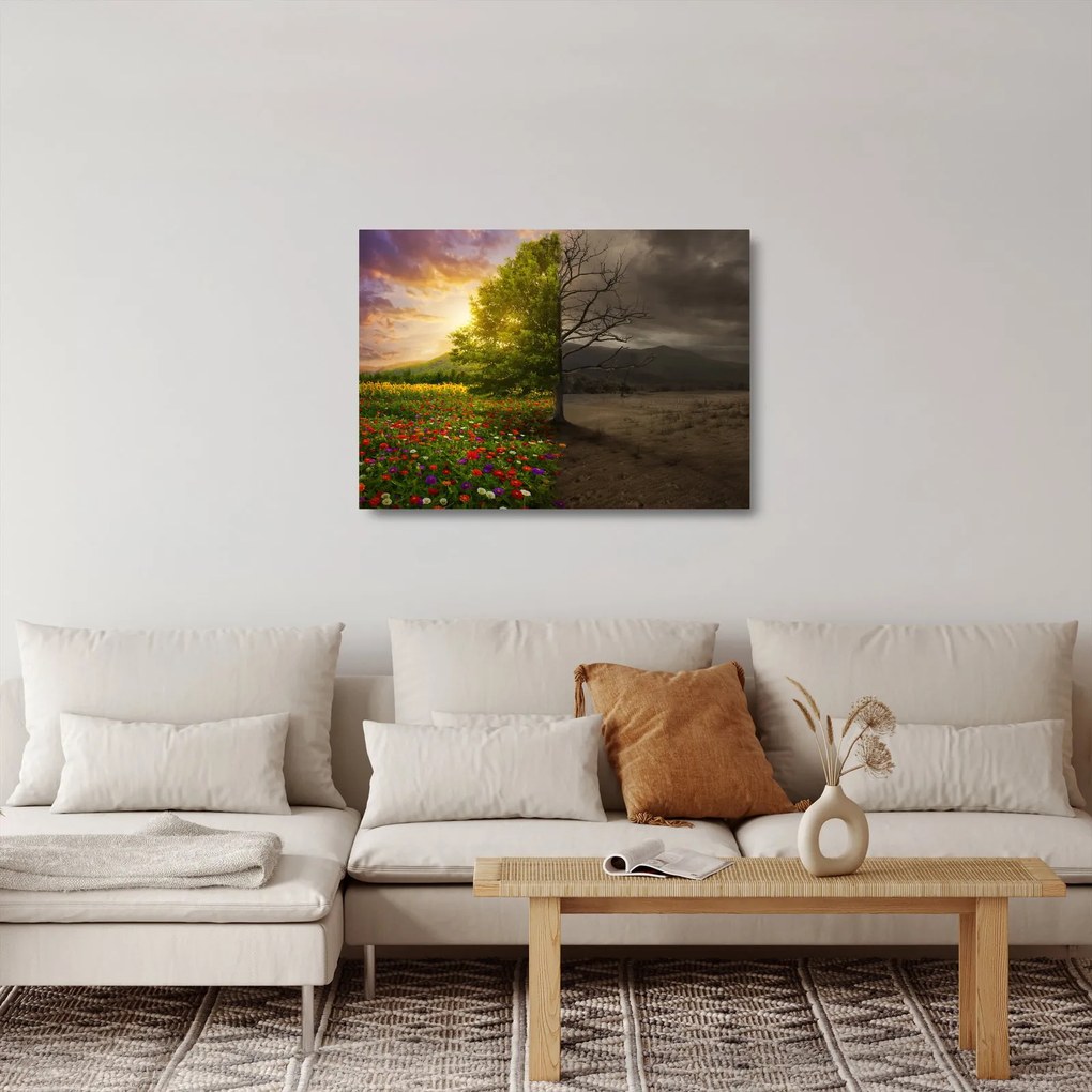 Obraz na szkle - Cykl życia (70x50 cm)