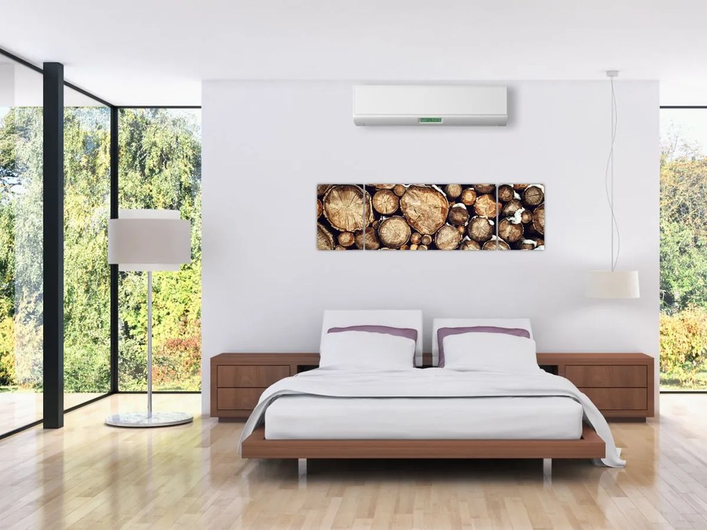 Obraz - Drewno w śniegu (170x50 cm)