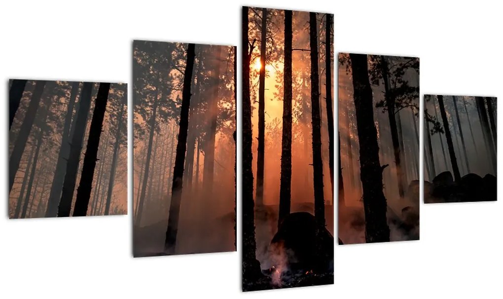 Obraz ciemnego lasu (125x70 cm)