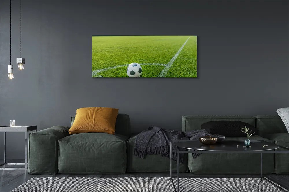 Zdjęcie na płótnie Stadionowa Arena Piłkarska