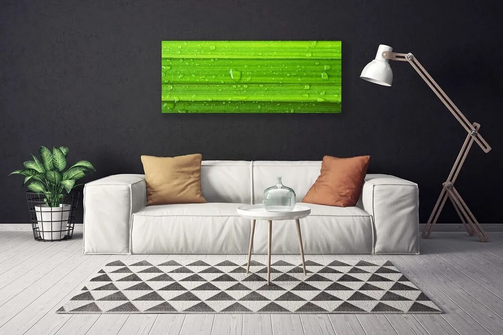 Obraz canvas Soczysta Zieleń Polany