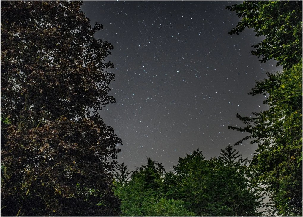 Obraz nocnego nieba (70x50 cm)
