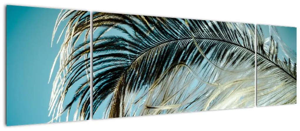 Obraz pióra (170x50 cm)