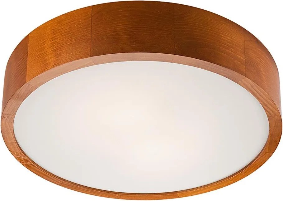 Oprawa sufitowa LED/24W/230V