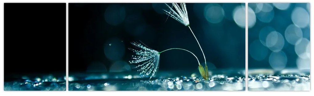 Obraz - Makro (170x50 cm)