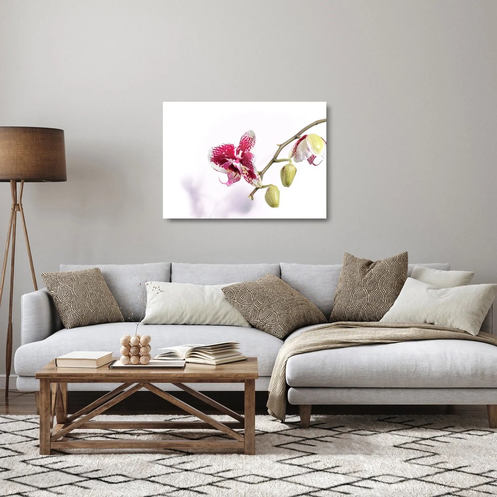 Obraz na szkle kwiatu orchidei (70x50 cm)