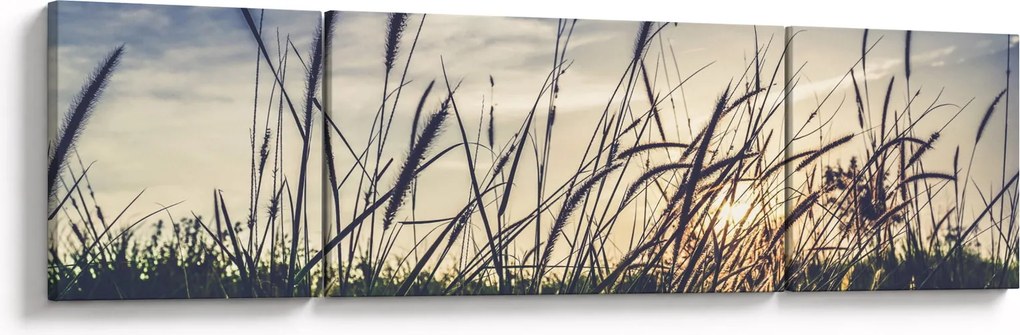 Obraz kwiatów łąkowych (170x50 cm)