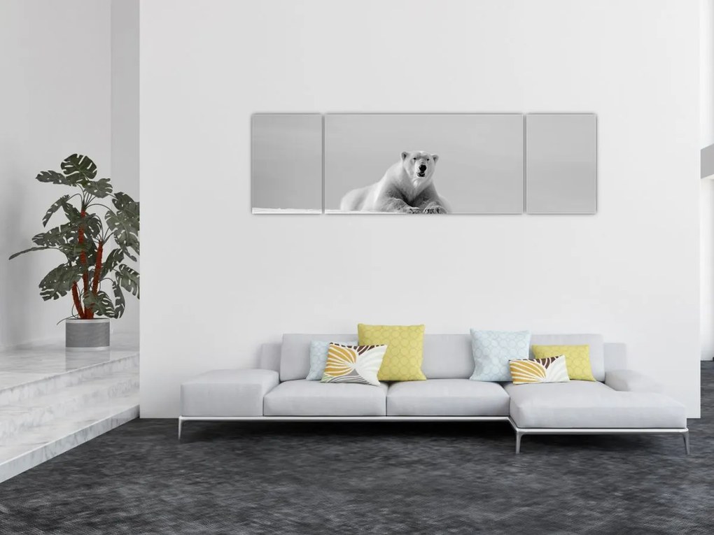 Obraz - Niedźwiedź polarny (170x50 cm)