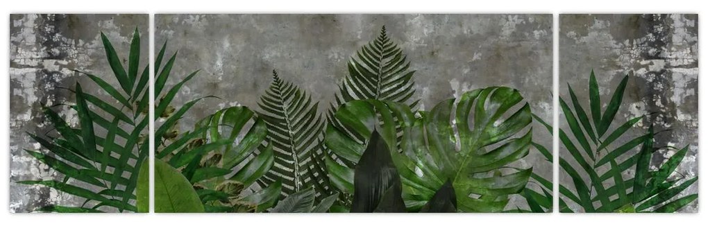 Obraz - Betonowa ściana z roślinami (170x50 cm)