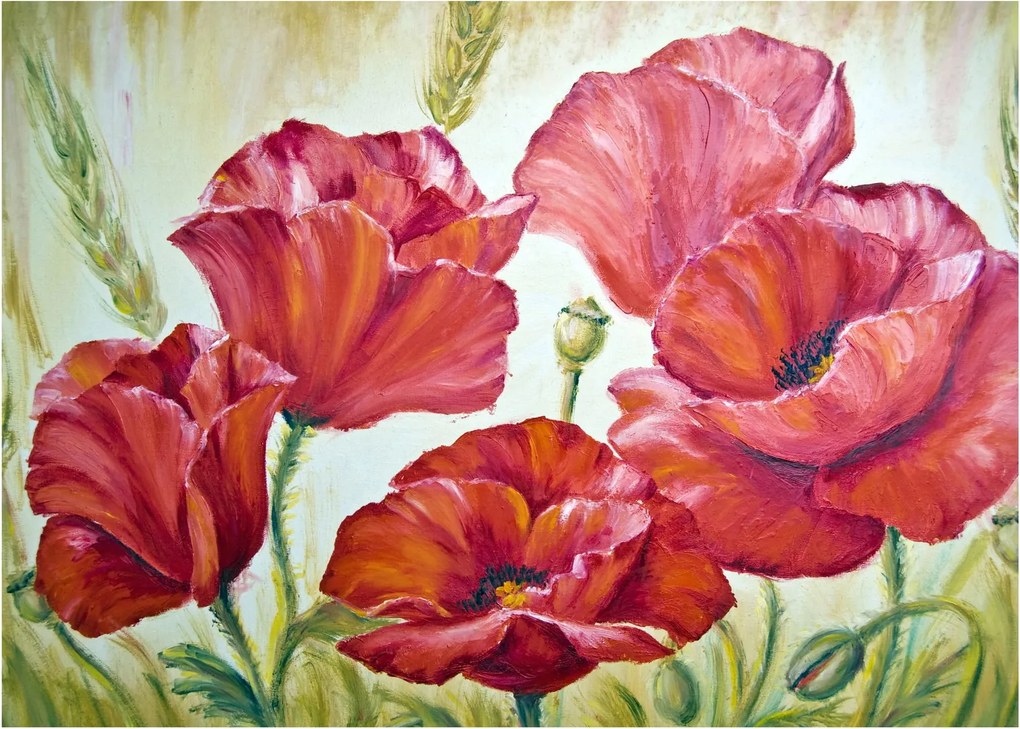 Obraz - Kwiaty maku (70x50 cm)