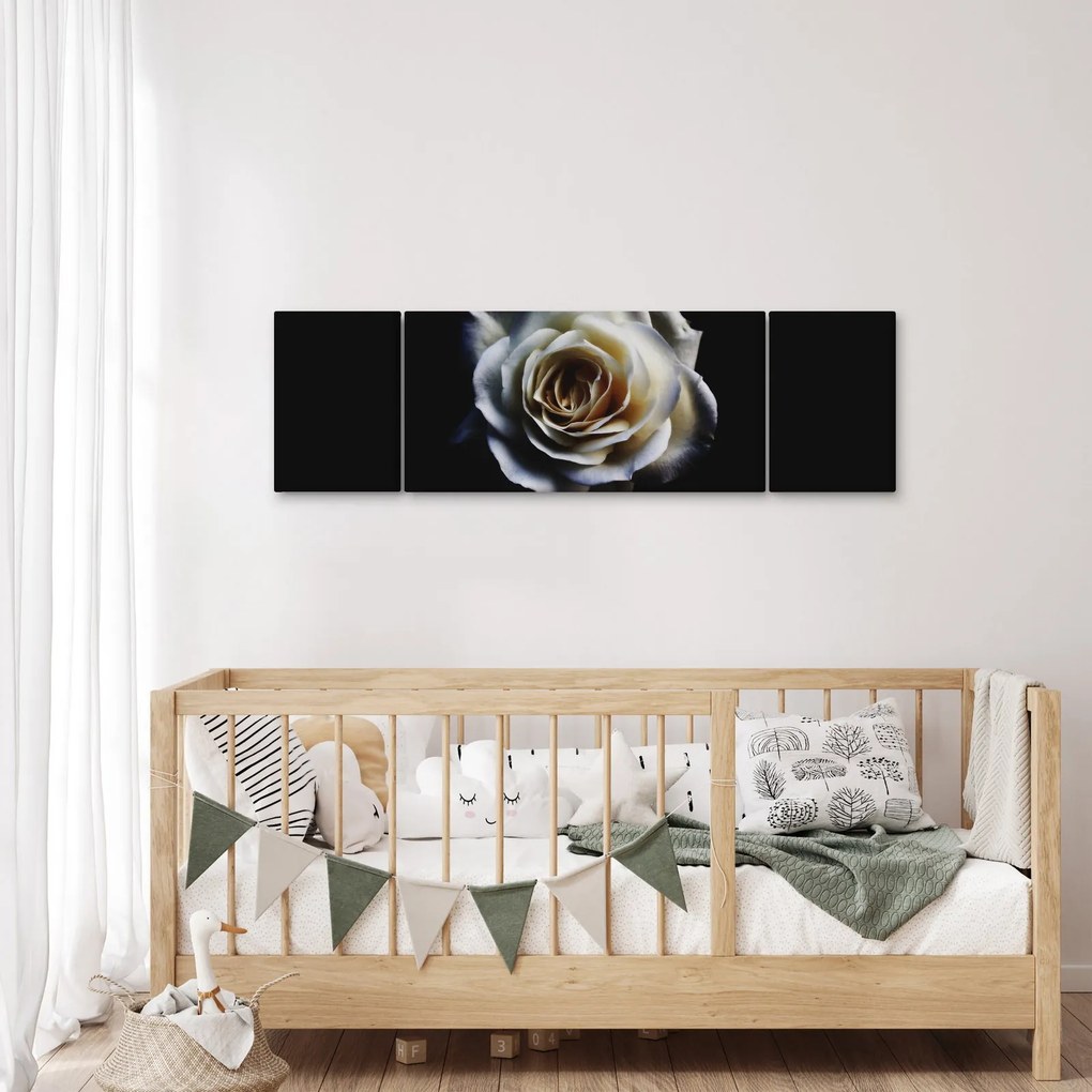 Obraz białej róży (170x50 cm)