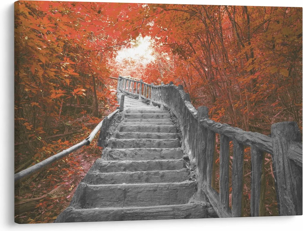 Obraz - Schody w naturze, pomarańczowy (70x50 cm)
