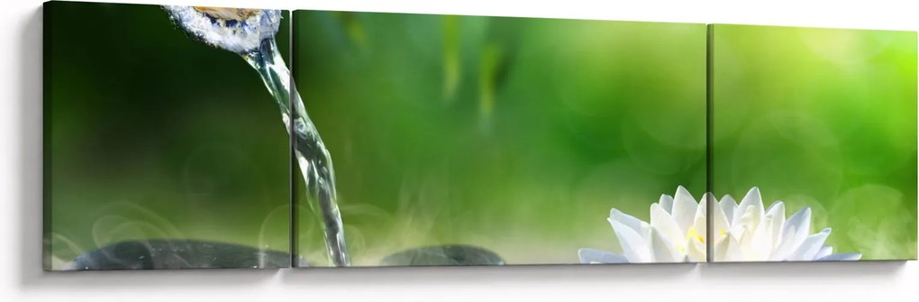 Obraz - Lotos (170x50 cm)