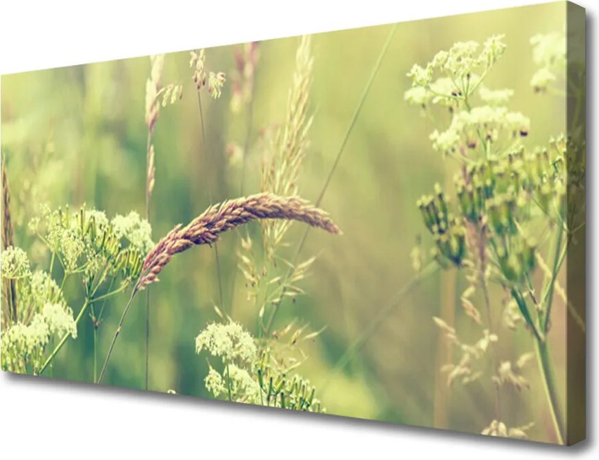 Fotoobraz na płótnie Surowy Urok Polnej Flory