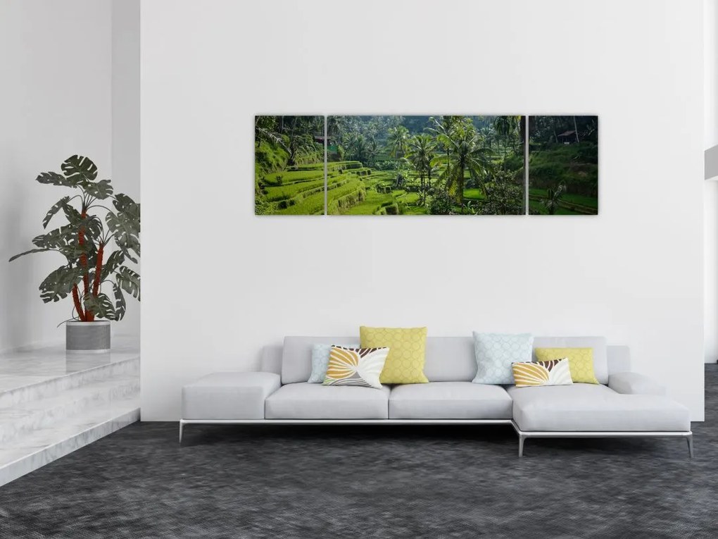 Obraz tarasów ryżowych Tegalalang, Bali (170x50 cm)