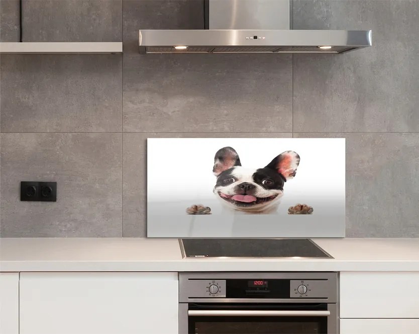 Panel Kuchenny Szklany Spojrzenie Wiernego Przyjaciela