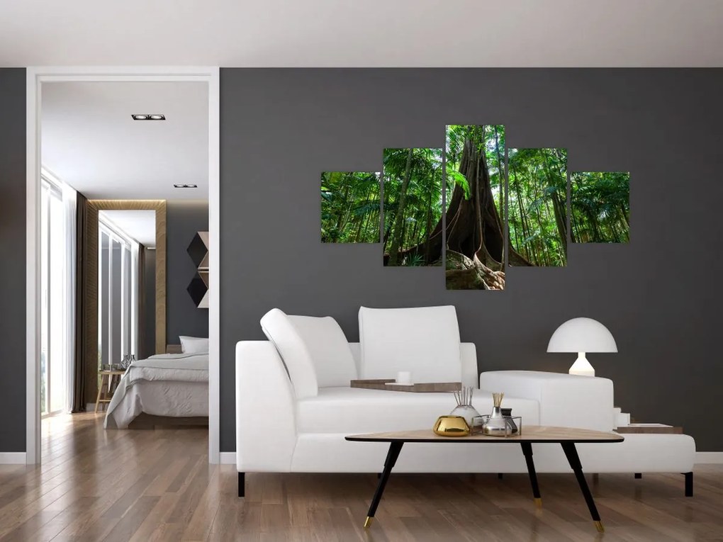 Obraz - Korzenie drzewa (125x70 cm)