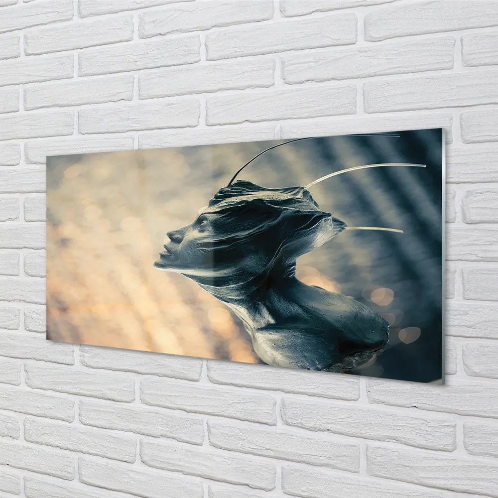 Szklany Panel Zarys Głowy Postaci